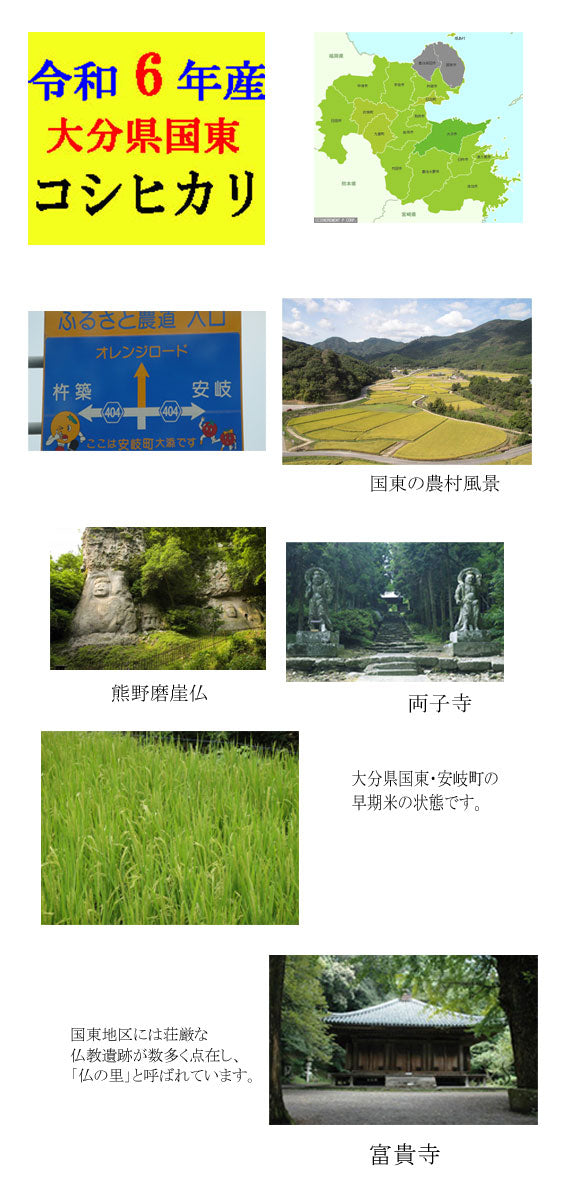 【送料無料】【令和6年産】 大分県産こしひかり　　10kg