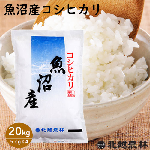 令和6年産 魚沼産 コシヒカリ 5kg / 10kg / 20kg【米・野菜・惣菜】【送料無料】白米 精米 新潟県