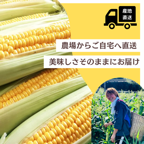 【新発売】北海道産冷凍とうもろこし