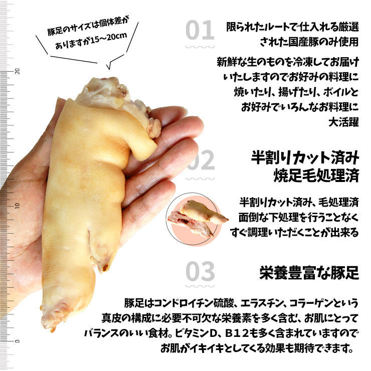 国産 九州 豚足 とんそく てびち テビチ チョッパル トン足 トンソク 半割り カット 済み 2/1 豚足スライス 業務用 生 冷凍 約10kg 20〜30本前後 焼足毛処理済 送料無料 わんはぎ 韓国 チョッパル 猪脚 食品 調理前 原料 未ボイル ボイル済みではない 焼き 食品 お取り寄せ