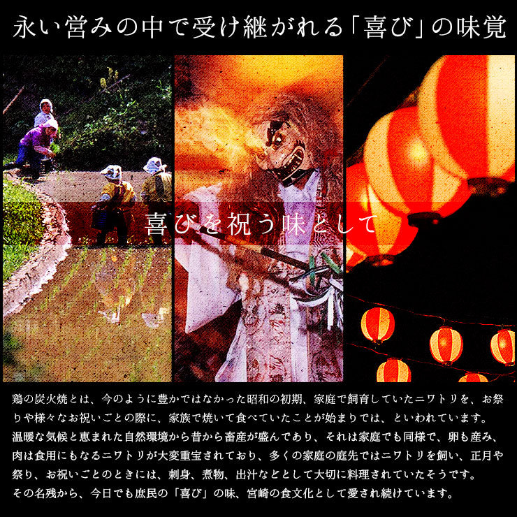 お肉 セット 肉加工品 お肉のおつまみ 焼き鳥 鶏の炭火焼き(炭火焼/鳥の炭火焼き/鳥の炭火焼/炭焼き/炭火焼き鳥/焼鳥)100g×6 セット 宮崎名物 レトルト食品 常温保存 珍味 お試し ビールのお供 簡易包装 訳あり お取り寄せグルメ 食品 惣菜 鶏肉 チキン ポイント消化 送料無料