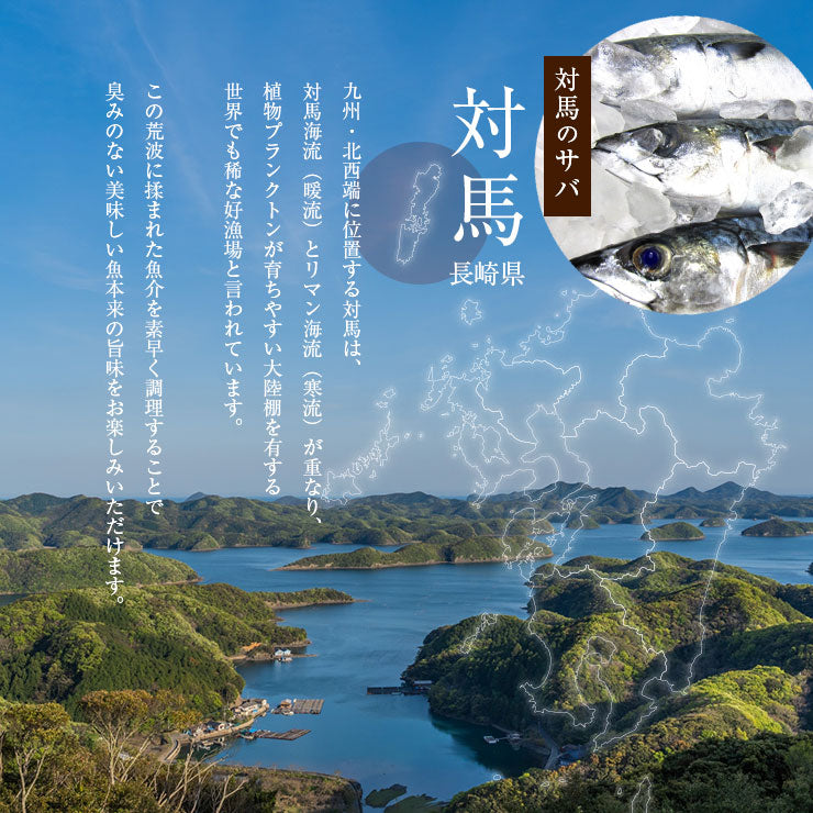 骨まで食べられる?焼き魚?さば?干物 約50g×2枚 サバ 鯖 ひもの 開き 干物セット 塩焼き 焼魚 グリル おつまみ 国産 長崎県産 対馬 長期常温保存 メール便 食品ロス フードロス ポイント消化 お取り寄せグルメ 送料無料 真空パック レトルト 電子レンジ コロナ 非常食