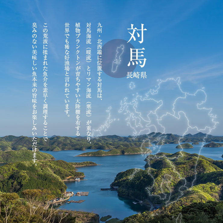 【お試し】あじの干物 約50g×2枚 鯵 鰺 アジ マアジ ひもの 干物セット 乾物 塩焼き 焼き魚 グリル おつまみ 国産 長崎県産 対馬 骨まで食べる焼き魚　長期常温保存 メール便 食品ロス フードロス ポイント消化 お取り寄せグルメ 送料無料 一夜干し 電子レンジ コロナ 応援
