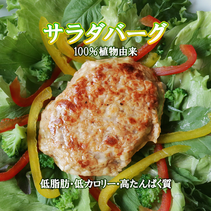 プラントベース 100%植物由来 大豆たんぱく加工品 常温保存 ビーガン対応 大豆ミート 代替肉 人工肉 サラダバーグ 90g×6 疑似ミート フェイクミート 代替肉 代替え肉 ダイエット ダイエット食品肉 もどき  ロカボ 糖質制限食 糖質オフ 糖質制限 低糖質 食材 糖質オフ