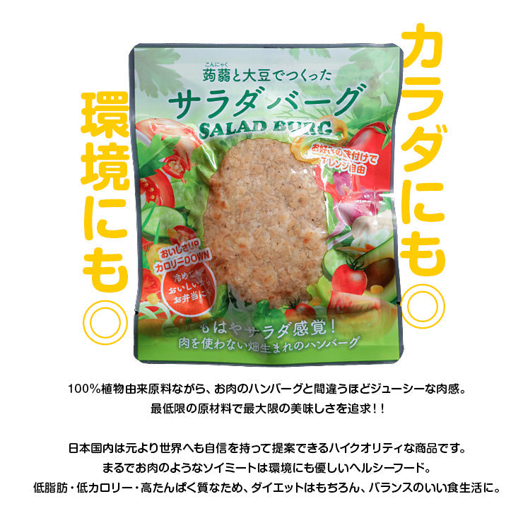 プラントベース 100%植物由来 大豆たんぱく加工品 常温保存 ビーガン対応 大豆ミート 代替肉 人工肉 サラダバーグ 90g×6 疑似ミート フェイクミート 代替肉 代替え肉 ダイエット ダイエット食品肉 もどき  ロカボ 糖質制限食 糖質オフ 糖質制限 低糖質 食材 糖質オフ