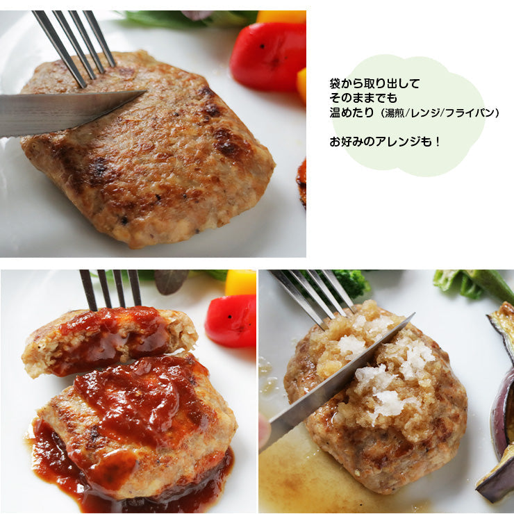 プラントベース 100%植物由来 大豆たんぱく加工品 常温保存 ビーガン対応 大豆ミート 代替肉 人工肉 サラダバーグ 90g×6 疑似ミート フェイクミート 代替肉 代替え肉 ダイエット ダイエット食品肉 もどき  ロカボ 糖質制限食 糖質オフ 糖質制限 低糖質 食材 糖質オフ