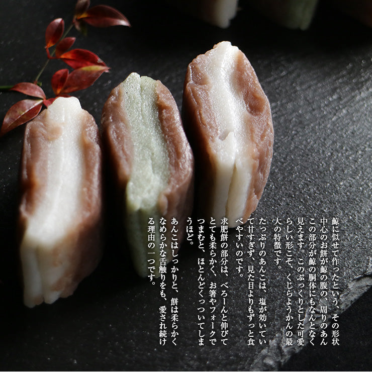 鯨ようかん くじらようかん くじら羊羹 鯨羊羹 12入(よもぎ4個・白8個) 宮崎 佐土原 お取り寄せ バレンタイン 和菓子 高級 人気ギフト プレゼント スイーツ お祝い 出産 健康 誕生日 お菓子 内祝い おすすめ 2022 ひとくち羊羹 ミニ　 一口サイズ おやつ 冷凍