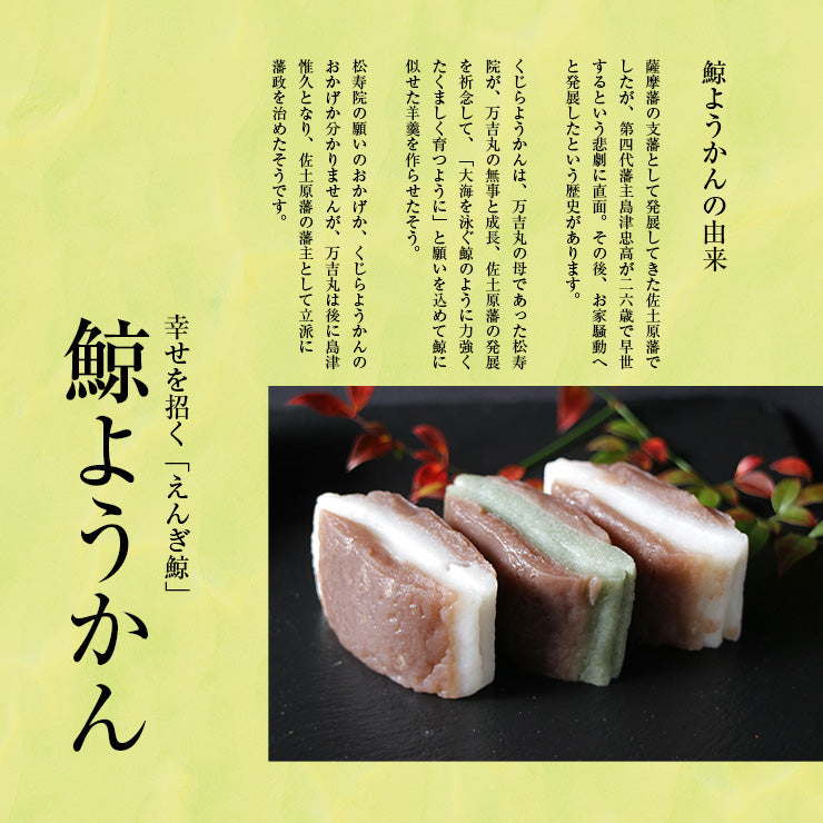 鯨ようかん くじらようかん くじら羊羹 鯨羊羹 12入(よもぎ4個・白8個) 宮崎 佐土原 お取り寄せ バレンタイン 和菓子 高級 人気ギフト プレゼント スイーツ お祝い 出産 健康 誕生日 お菓子 内祝い おすすめ 2022 ひとくち羊羹 ミニ　 一口サイズ おやつ 冷凍