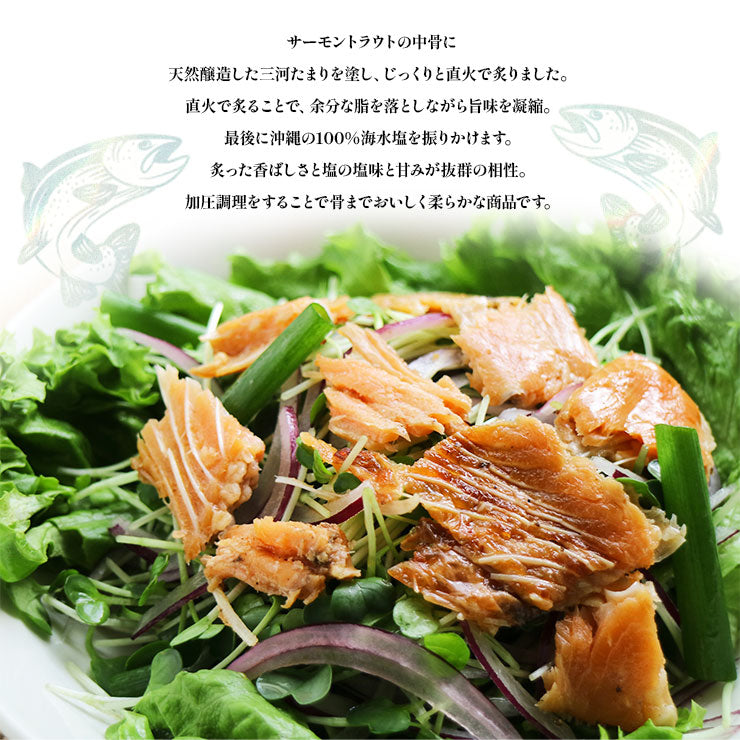 送料無料 つくだ煮 甘露煮 佃煮 お試し お取り寄せグルメ テリヤキフィッシュ 骨付き炙りサーモン 塩 40g×4　絶品 珍味 常温保存 珍味のお試し サーモン 海水塩 簡易包装 訳あり 保存料無添加 食品 グルメ 朝食 朝ごはん おつまみ つまみ おにぎり お弁当 弁当 おにぎりの具 惣菜