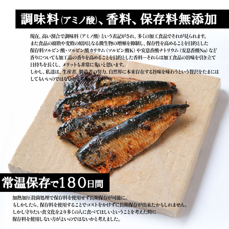 送料無料 つくだ煮 甘露煮 佃煮 お試し お取り寄せグルメ テリヤキフィッシュ・ジャーキー いわし 40g×4 絶品 珍味 常温保存 珍味のお試し いわし 海水塩 簡易包装 訳あり 保存料無添加 食品 グルメ 朝食 朝ごはん おつまみ つまみ おにぎり お弁当 弁当 おにぎりの具 惣菜