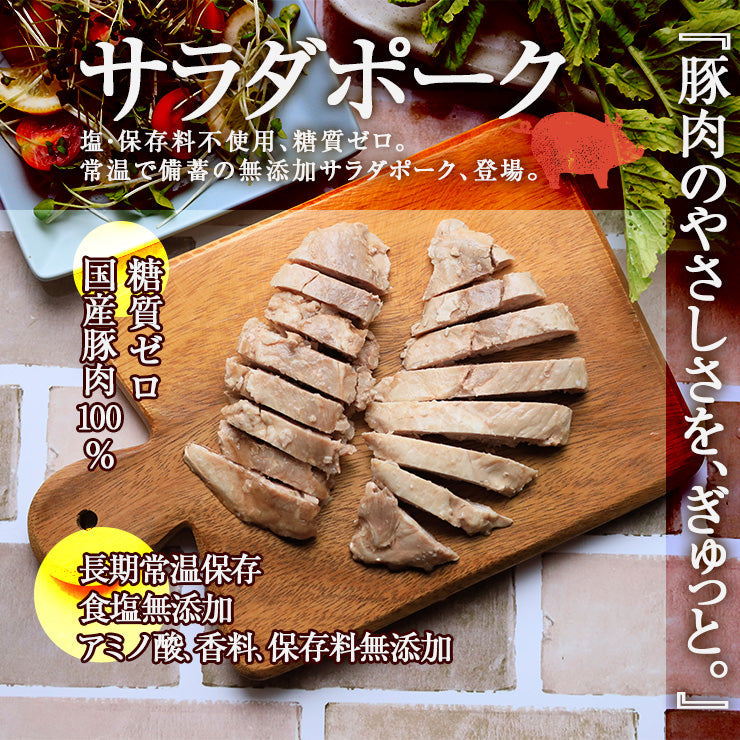 糖質0gの無添加サラダポーク 100g 常温保存タイプ