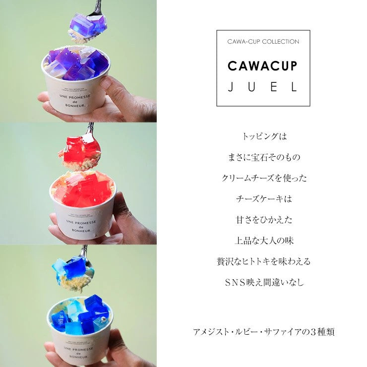 完成品 個包装済み 業務用 宝石 チーズケーキ ケーキ 宝石菓 食べる宝石 ジュエル かわいい 学園祭 学祭 屋台 冷凍 模擬店 文化祭 お祭り  高校 大学 小学校 保育園 夏祭り 秋祭り 食品 自然解凍 食べ物 調理無し そのまま出せる 景品 子供 インスタ映え