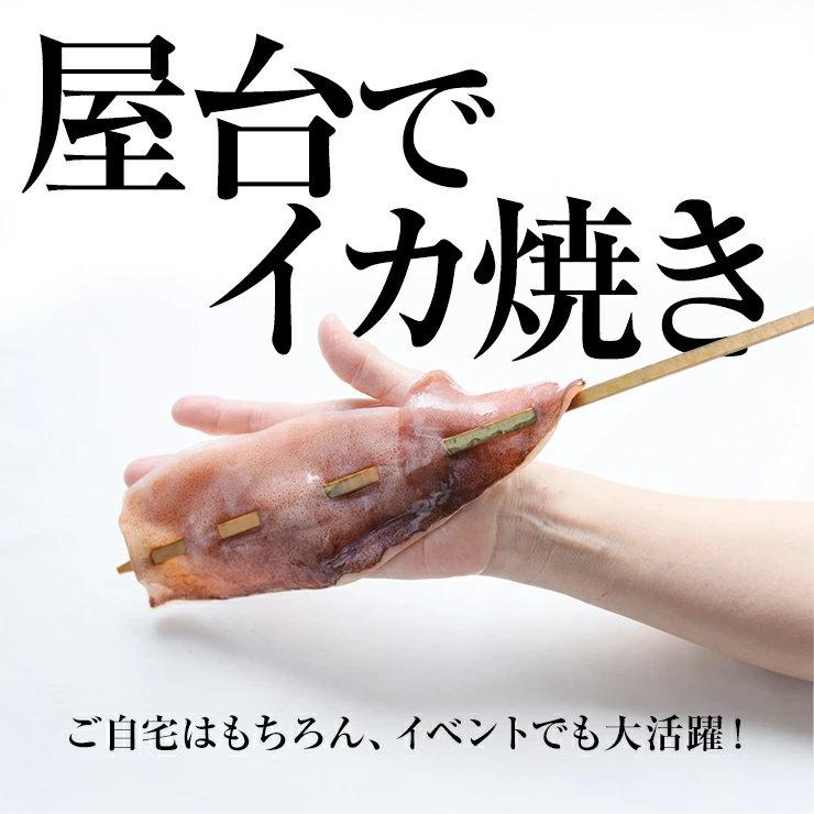 イカ焼き イカ串 イカの姿焼き 屋台 冷凍 模擬店