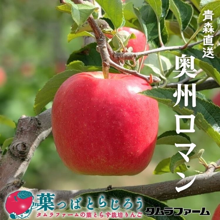 奥州ロマン【送料込】【りんご】【青森県産】【タムラファーム2025】【葉っぱとらじろう】【期間限定】