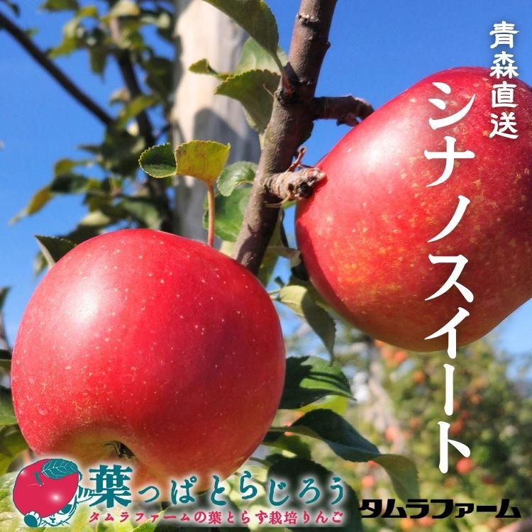 シナノスイート【送料込】【りんご】【青森県産】【タムラファーム2025】【葉っぱとらじろう】【期間限定】