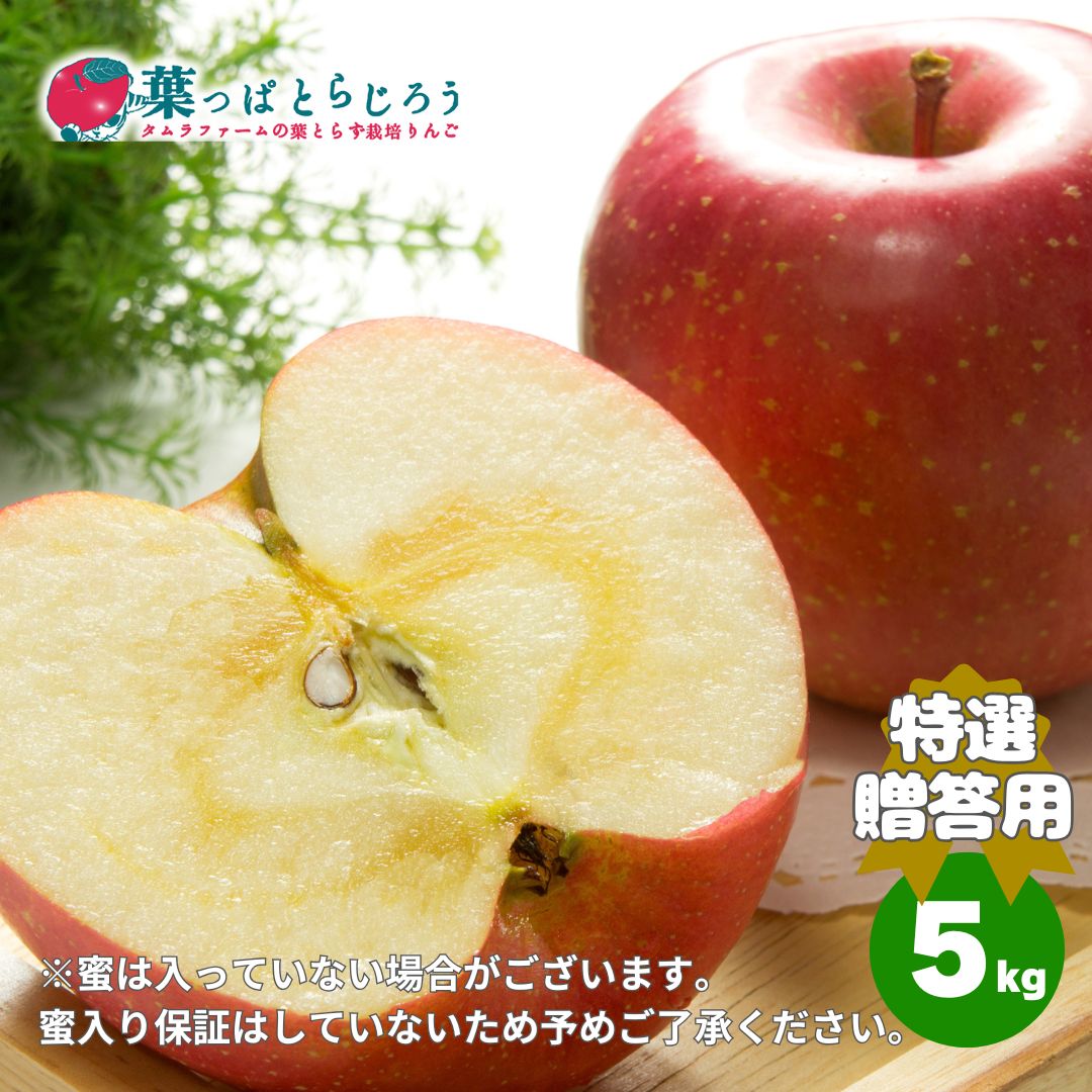 ■サンふじご贈答用■【送料込】【葉っぱとらじろう】【お歳暮】【りんご】【青森県産】【タムラファーム農園直送】【期間限定】