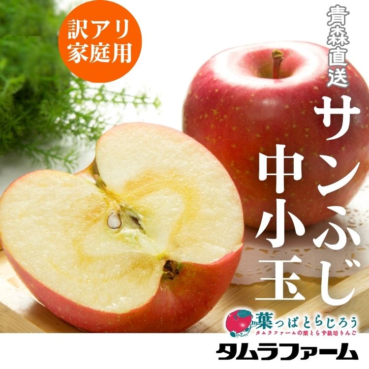 サンふじご家庭用中小玉３ｋｇ【送料込】【7日間限定企画】1/7～1/13まで