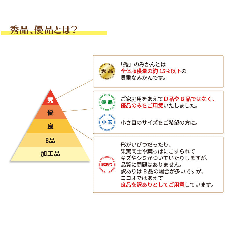 【送料無料】かんきつの最高峰！高級ブランドかんきつ「紅まどんな」〈秀品・化粧箱入〉約3kg