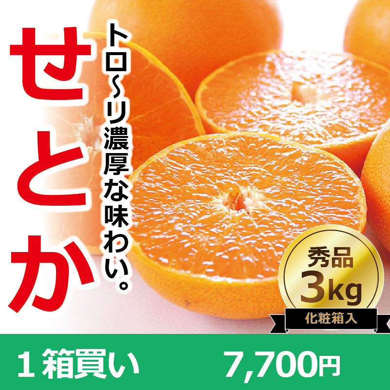 ※今季販売終了※【送料無料】高級ブランドかんきつ「せとか」〈秀品・高級化粧箱入〉約3kg　※発送は２月中旬～３月中旬予定