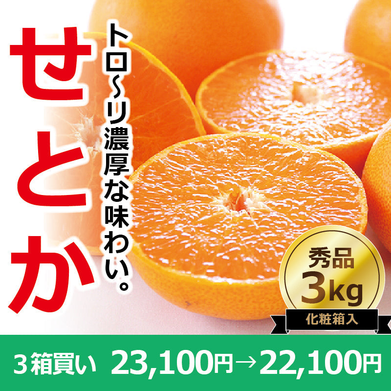 ※今季販売終了※【送料無料】高級ブランドかんきつ「せとか」〈秀品・高級化粧箱入〉約3kg　※発送は２月中旬～３月中旬予定