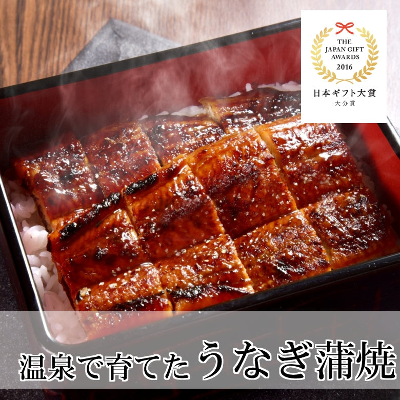 【送料込】温泉で育てたうなぎ蒲焼（カット）４袋セット