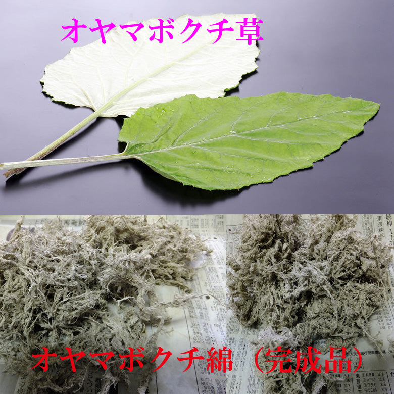 長野県産　オヤマボクチ草　葉綿　25g　 販売中　ポスト投函になります　　