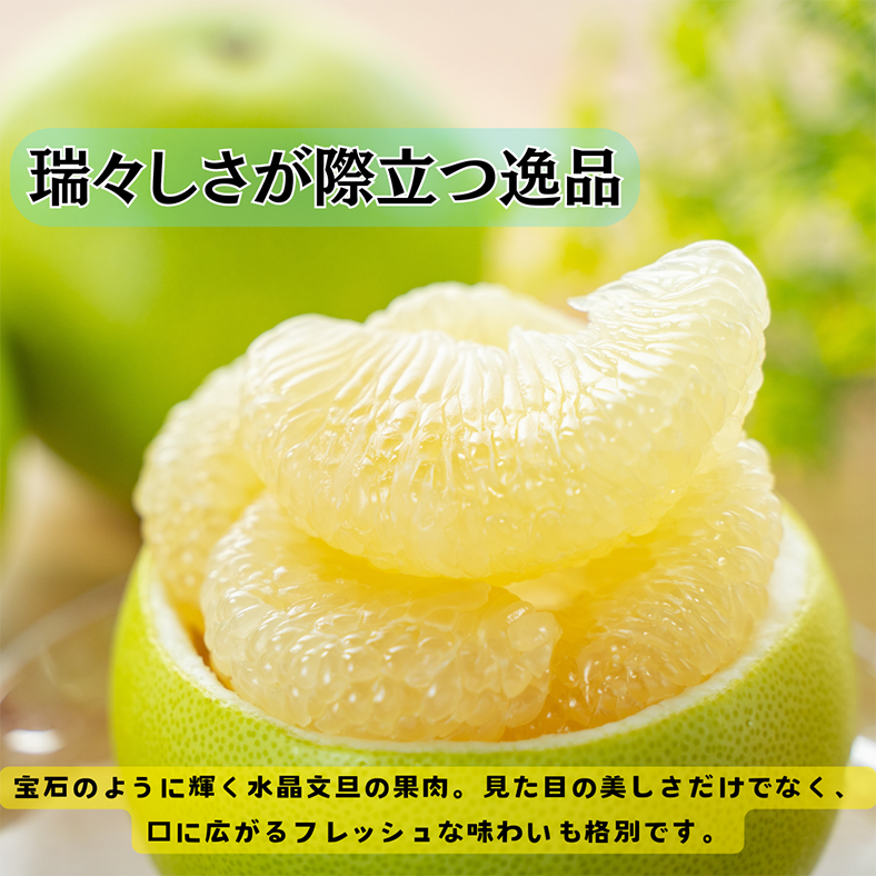 先行予約クーポン10％OFF**【プロの目利き厳選】人気の高知の宝石、水晶文旦【5kg贈答用 大玉（7玉～10玉）】(注文順に発送：発送期間9月20日～10月20日) ぶんたん 高知県産 フルーツ 柑橘類 ギフト 贈り物 旬 果物 みかん 旬 春 新鮮 大玉 甘い 高級 贈答用 お取り寄せ 人気商品  やの一果彩
