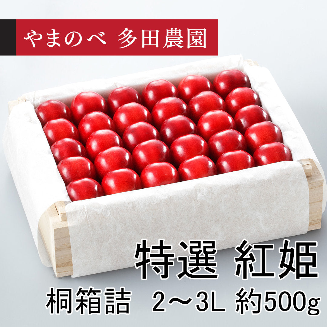真夏のさくらんぼ「紅姫（べにひめ）」（2L～3Lサイズ 桐箱詰）約500g　先行予約受付中【7月20日～8月10日にお届け】