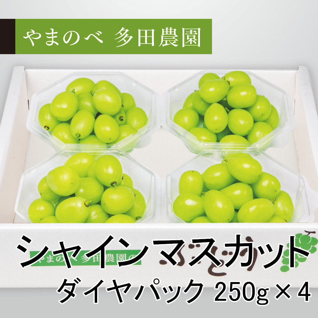 シャインマスカット（ダイヤパック詰）250g×4パック　先行予約受付中