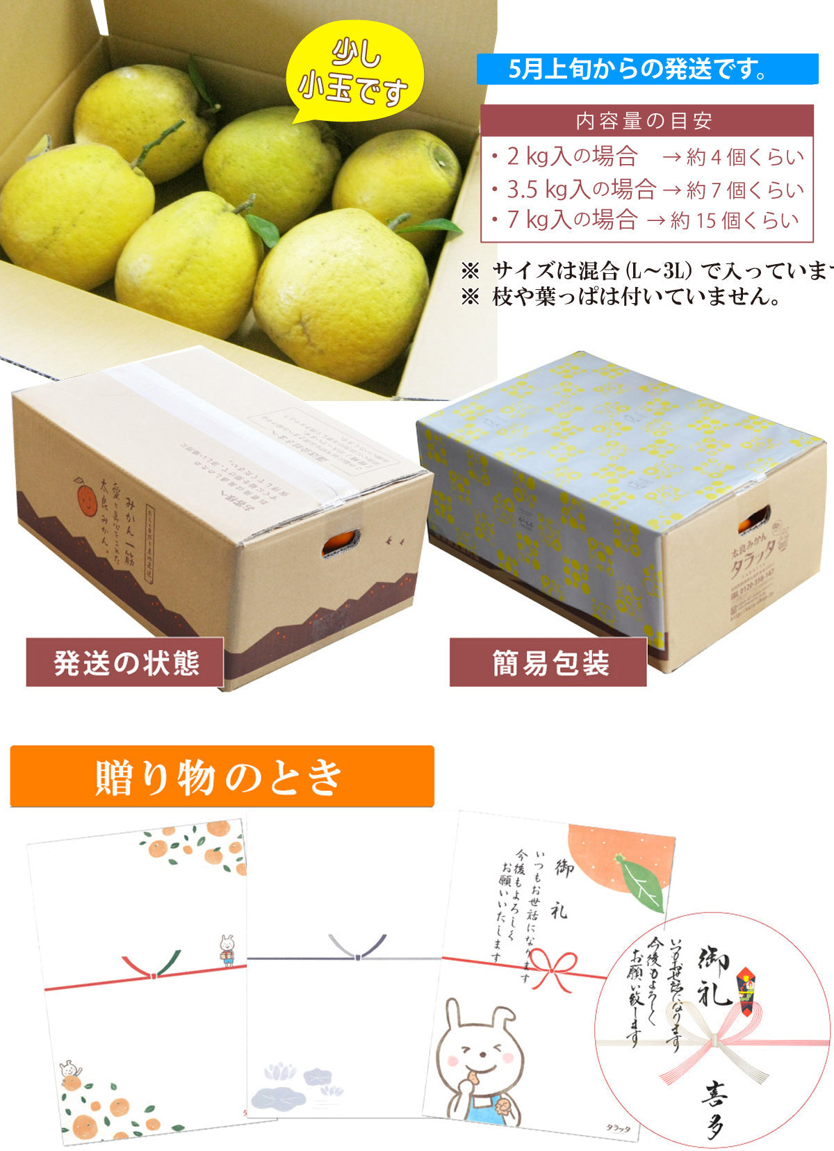 ★ご家庭用★ 和風グレープフルーツ【河内晩柑】（混合サイズ）