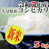 【令和7年産・新米】 大分県産こしひかり　　5kg
