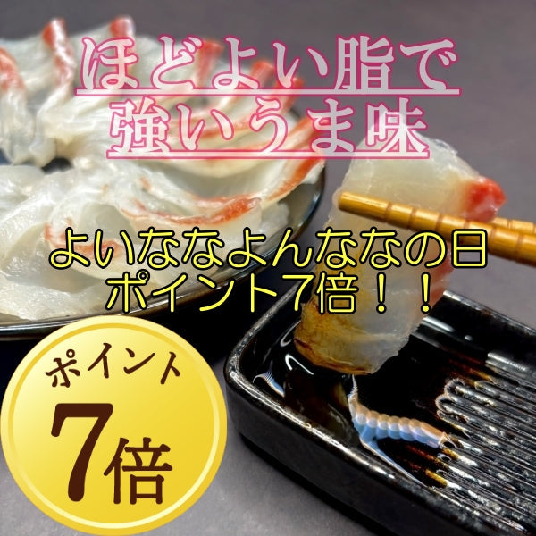 しゃぶしゃぶも！おいしいお魚は冷凍庫の扉を開ければある！？冷凍真鯛柵パック総量たっぷり1kg入！！12月7日ポイント7倍！！