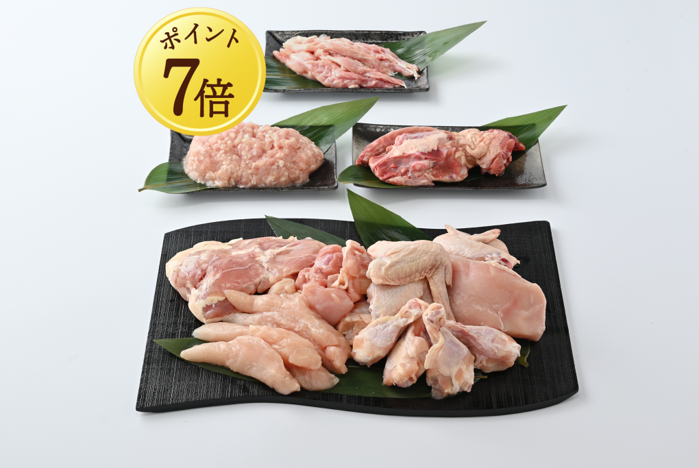 【9月7日ポイント7倍】【送料込】【鶏まるごと9種類！１０パック！！】徳島県産神山鶏食べつくしセット