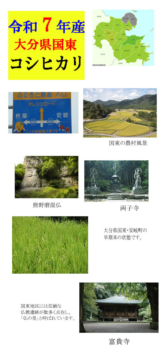 【送料無料】【令和7年産・新米】 大分県産こしひかり　　10kg