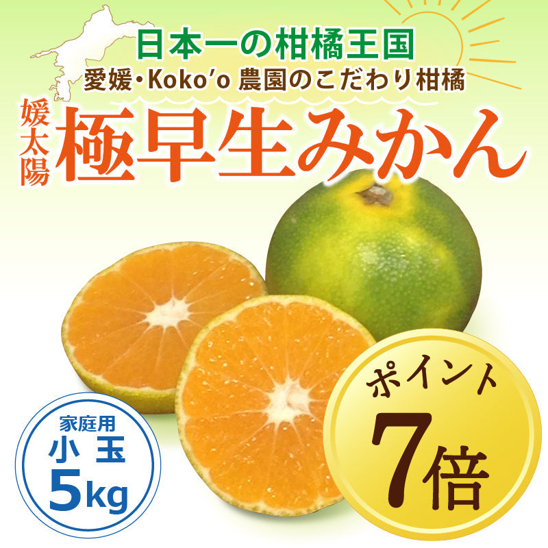 【10月7日ポイント7倍】愛媛県産「極早生みかん」〈家庭用・小玉〉約5kg
