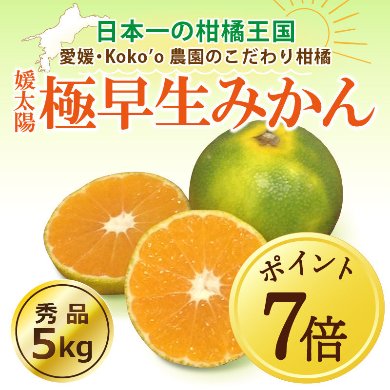 【10月7日ポイント7倍】愛媛県産「極早生みかん」〈秀品〉約5kg