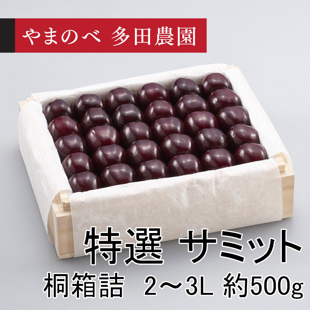 黒いさくらんぼ　特選　サミット（2Lサイズ以上 桐箱詰）約500g　先行予約受付中