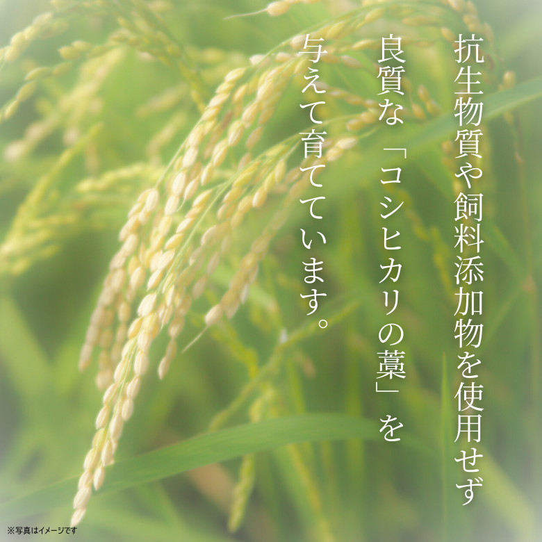 【 5月7日～13日ポイント７倍】吟醸牛モモ・しゃぶしゃぶ用（500ｇ入り）《冷凍便》【日本ギフト大賞2022受賞】【精肉・肉加工品】