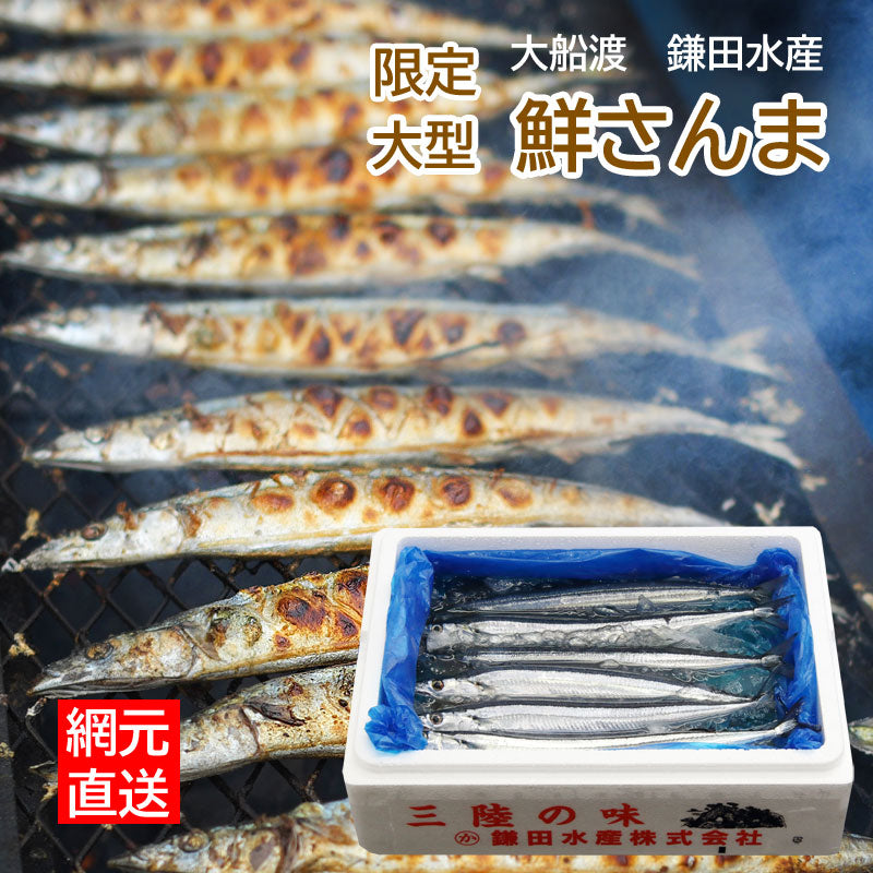 三陸・網元直送 『限定 大型鮮さんま』 岩手県大船渡市・鎌田水産【冷蔵・送料込】