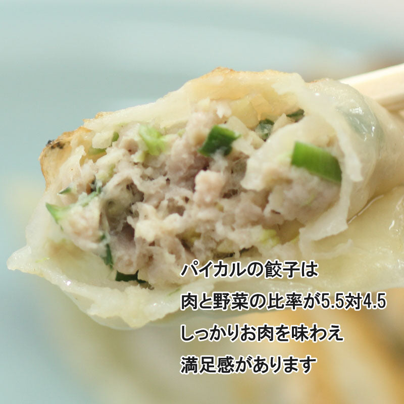 盛岡名物 パイカル 特製 手作り餃子セット 20個入【冷凍・送料込】