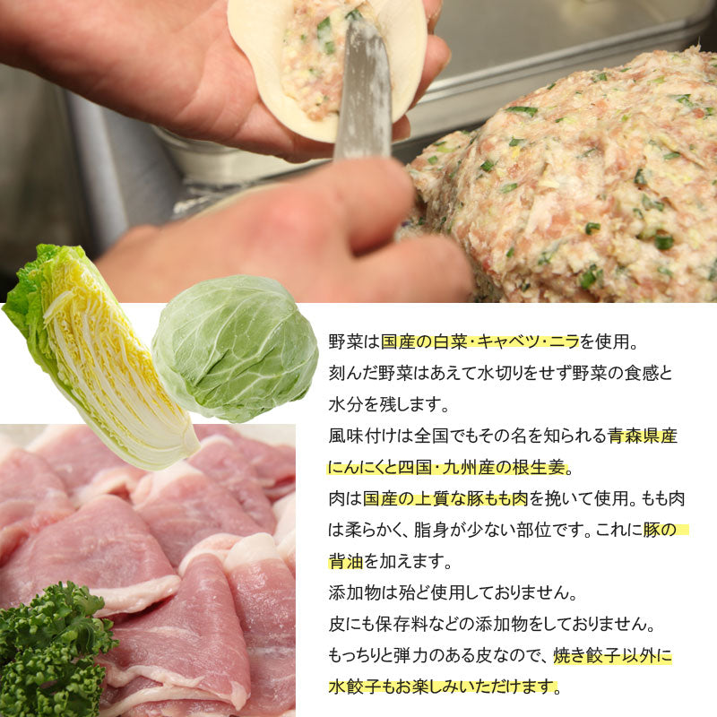 盛岡名物 パイカル 特製 手作り餃子セット 20個入【冷凍・送料込】