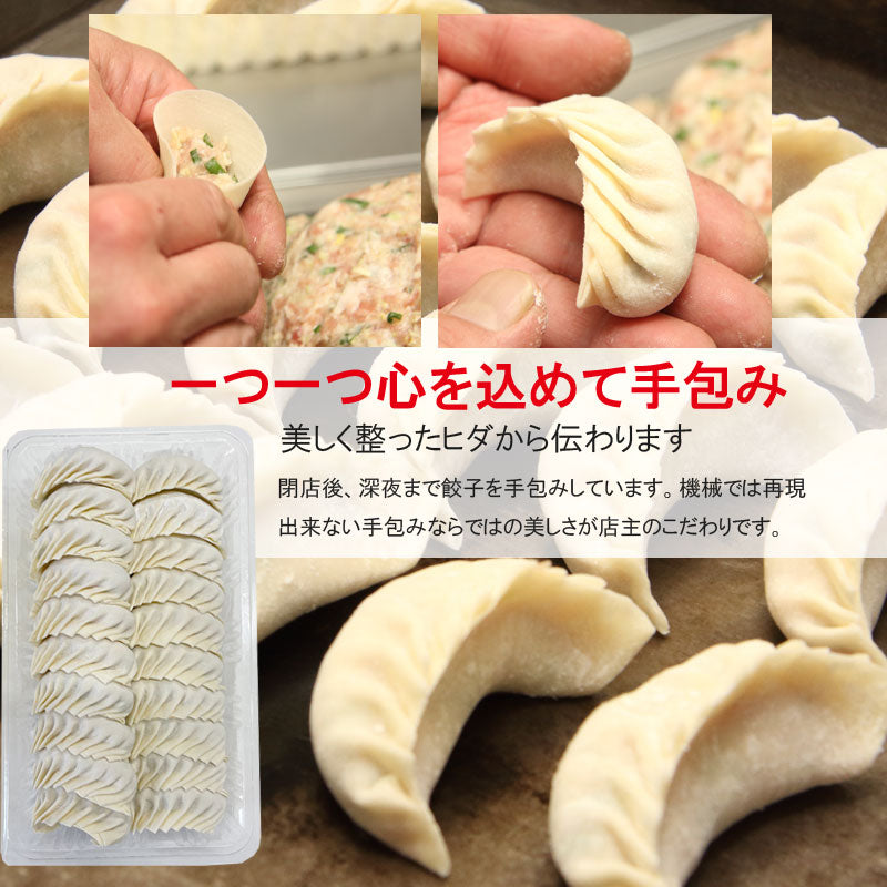 盛岡名物 パイカル 特製 手作り餃子セット 20個入【冷凍・送料込】