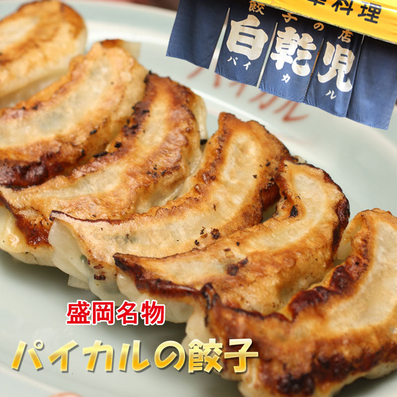 盛岡名物 パイカル 特製 手作り餃子セット 20個入【冷凍・送料込】