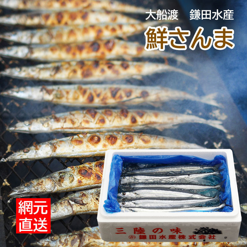 三陸・網元直送 『鮮さんま』 岩手県大船渡市・鎌田水産【冷蔵･送料込】