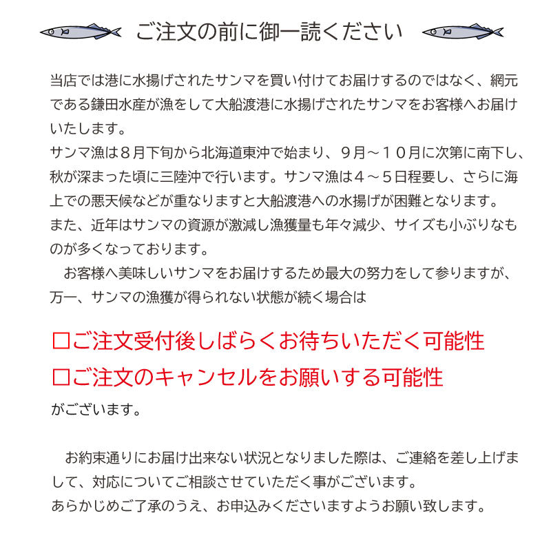 三陸・網元直送 『限定 大型鮮さんま』 岩手県大船渡市・鎌田水産【冷蔵・送料込】