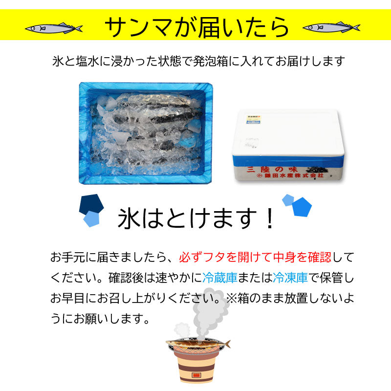 三陸・網元直送 『鮮さんま』 岩手県大船渡市・鎌田水産【冷蔵･送料込】