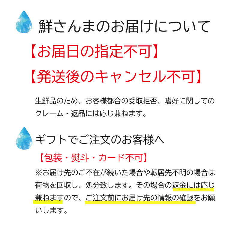 三陸・網元直送 『限定 大型鮮さんま』 岩手県大船渡市・鎌田水産【冷蔵・送料込】