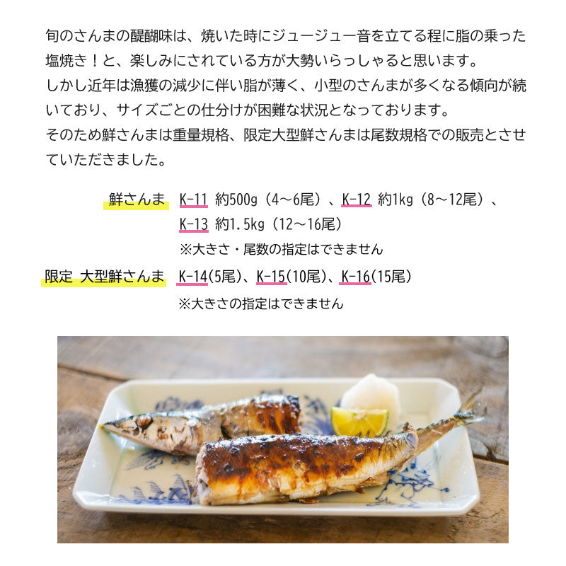 三陸・網元直送 『鮮さんま』 岩手県大船渡市・鎌田水産【冷蔵･送料込】