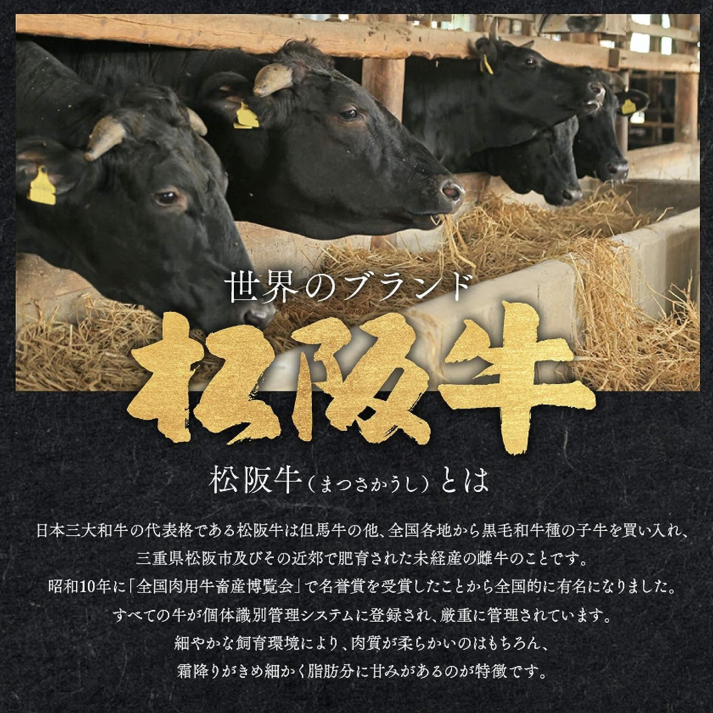 [肉贈] 選べる 松阪牛 カタログ ギフト MAコース 4万円 | 瀬古さんが育てた松阪牛 牛肉 すき焼き 焼肉 ステーキ しゃぶしゃぶ 内祝