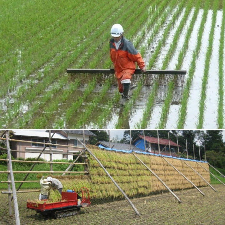 【農薬不使用・天日干し乾燥の仁多米！】吉川さんちのコシヒカリ5kg　７年産新米【送料込み】